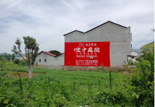 元谋做墙体广告的意义