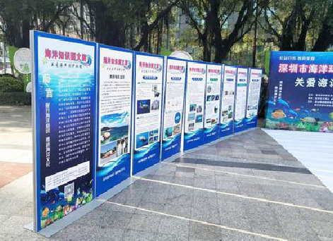 元谋KT板的种类和知识。